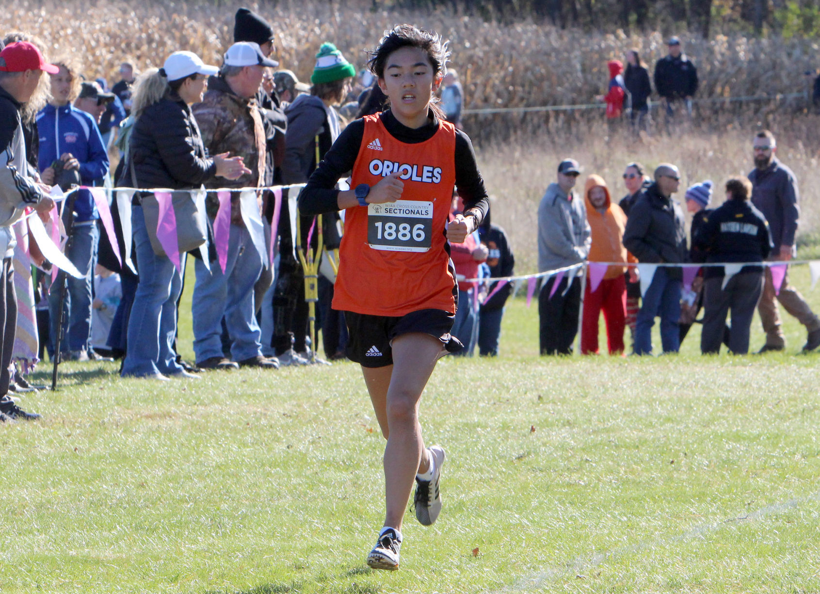Division 3 Cross Country Sectionals in Boyceville 10-26-19